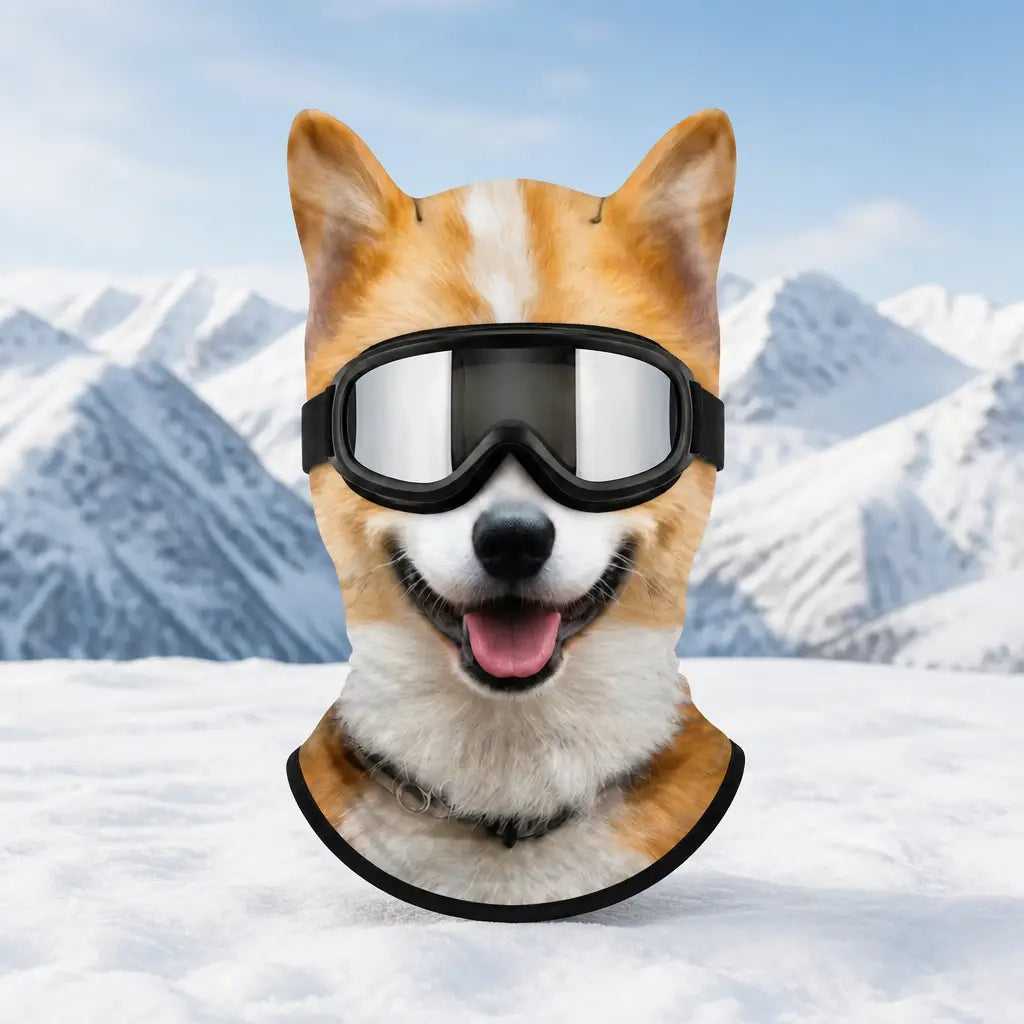 Pawlaclava Ski Mask