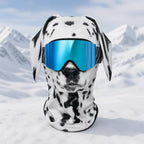 Pawlaclava Ski Mask